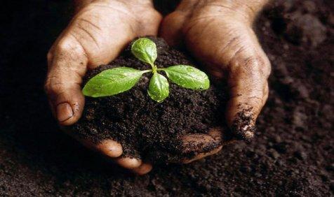 जानिए मिट्टी की उर्वरक क्षमता बढ़ाने के लिए आसान तकनीक